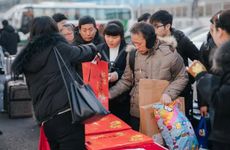 梦见一片香蕉树　周公解梦之梦到一片香蕉树