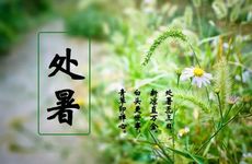 梦见给别人送礼物