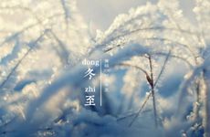 梦见遇到出殡队伍是什么意思