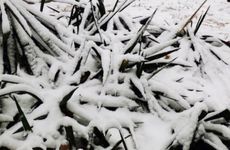 对“钱”非常敏感，捞金能力最强的星座男