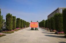 建日安葬对子孙后代不好吗？安葬日期怎么选？