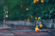 2024年9月7日白露是好的搬家吉日吗