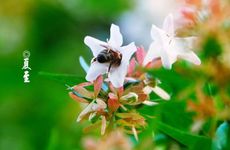 2023年大年初二出门穿什么颜色衣服 大年初二不宜穿什么颜色的