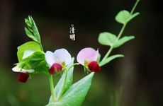 梦见中风瘫痪怎么回事 梦见中风瘫痪有什么预兆