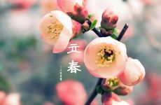 2021年寡妇年能结婚吗 2021年立春当天结婚好不好