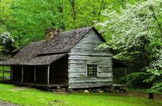 父亲节的习俗和庆祝方式