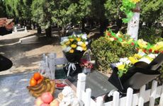 2022清明前后会不会出现倒春寒