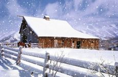 冬月出生的虎女好不好 不同季节出生虎女命运解析