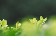 2022年什么时候打春几点几分？立春上午还是下午？