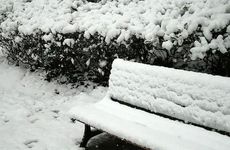 梦见荷叶怎么回事 梦见荷叶有什么预兆