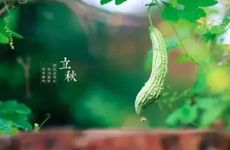 家里什么方位旺儿子 家里什么方位旺儿子没东没东北