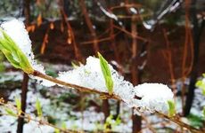 孩子做噩梦后如何化解，如何防止做噩梦