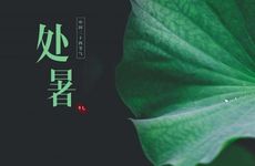 2024年处暑是什么传统节日