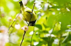 2023立春放炮仗有时辰讲究吗