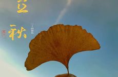 事业心强，在职业道路上永不退的星座