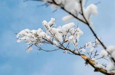 梦见油灰 油腻子怎么回事 梦见油灰 油腻子有什么预兆