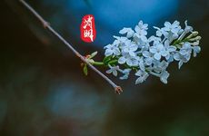 2022洛阳清明期间冷不冷