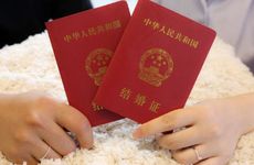 个性的宠物名字