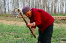 2025年春分从几月几日几点几分开始的