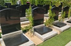 十二种吉利又旺宅的招财花是什么