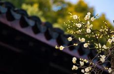 女生高端大气有内涵的微信网名