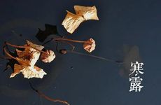 白露习俗 寒露吃龙眼是什么含意?白露节气风俗习惯