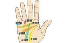 额头看命运 额头看命运线