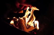 嘴巴跟上了拉链一样 很少主动开口说话的生肖