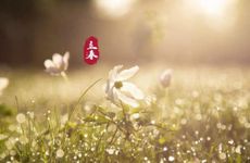 2023年立春交运时可以和属相犯冲的人一起吗