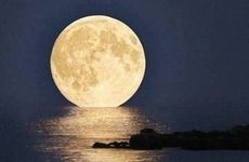 双春年什么意思 双春的说法