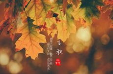 2022年财运旺盛的生肖