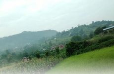 立秋节气的民间习俗及养生方法