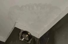 大象的寓意和象征 门前放大象的寓意和象征