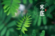 梦见悬崖峭壁是什么预兆