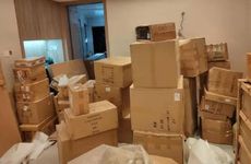 家里养什么鱼招财转运 家中养什么鱼招财运