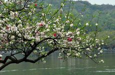 2024年立春躲春是躲一天吗 2024年属龙怎么躲春