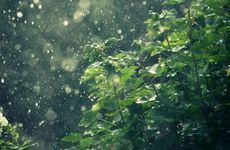 2022小满吃什么传统美食