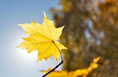 四川立秋吃什么 立秋有什么传统美食