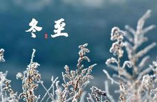 2024冬至节日饮食知识