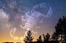 未来十年事业风生水起财富滚滚而来的四个生肖