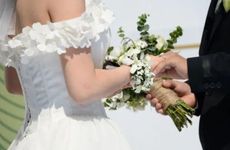 旺学业的植物 文竹可以放书桌旺学业