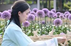 结婚红包给多少合适 结婚包什么数字最吉利