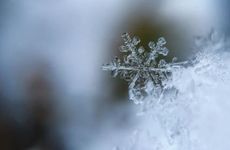 2024大寒节气能理发吗 最好不要