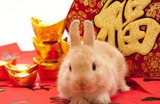 马姓男孩名字大全2024属兔 马姓属于百家姓吗