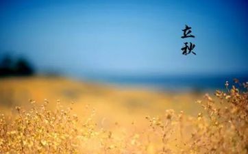 梦见登高 塔顶 树顶 山顶周公解梦，梦见登高 塔顶 树顶 山顶是什