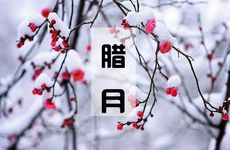 2022几月出生虎命最苦