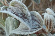 梦见中子弹怎么回事 梦见中子弹有什么预兆