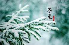 梦见火烧树叶是怎么回事