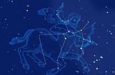 射手座2022年2月运势