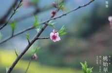 梦见气流 穿堂风怎么回事 梦见气流 穿堂风有什么预兆